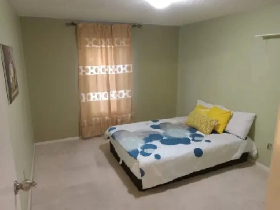 Beautiful downtown 2 rooms for rent Image# 1