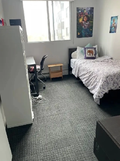 Waterloo Apartment Room for Rent Image# 1