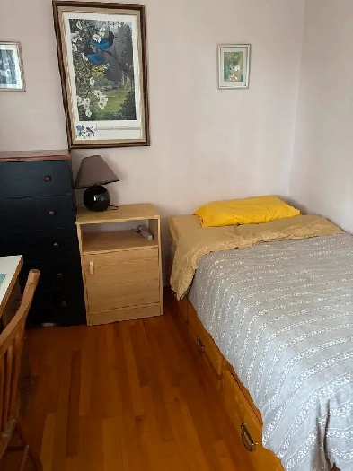Chambre a louer Room to rent westIsland Image# 1