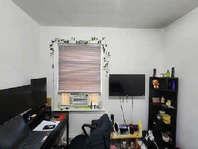 private room for rent (female only! Image# 1