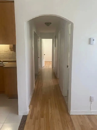 4 1/2 Appartement à louer sous sol duplex St Léonard Image# 3