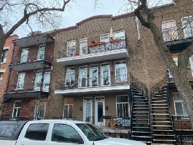 4 1/2 Berri x Villeray Image# 5