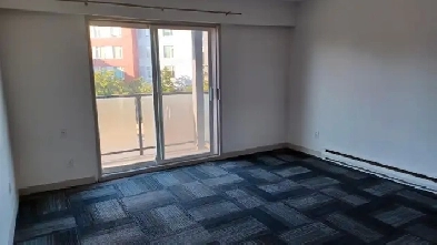 One Bedroom Apartment - Available Now! Image# 1