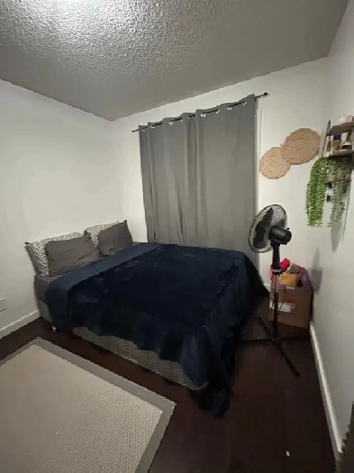 room for rent Image# 3