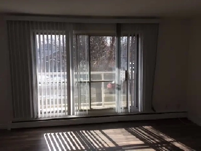 Large 1 BDRM in Old Strathcona! S. Facing Balcony!! Image# 3