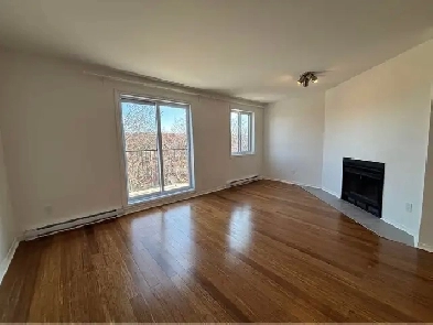 Fully renovated 2-bedroom condo in Rosemont Shop Angus Image# 4