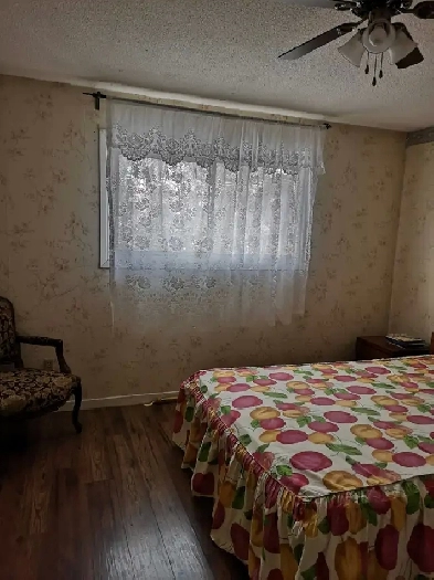 Rooms for Rent Image# 4