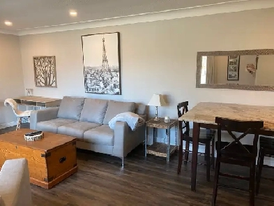 3Bdrm Fully Furnished Mainfloor on Rosedale Image# 1