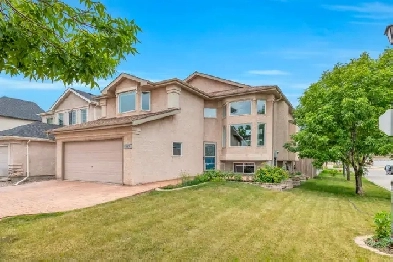 DYNAMIC NORTH KILDONAN GEM IS PERFECT FOR LARGE LIVING. Image# 3
