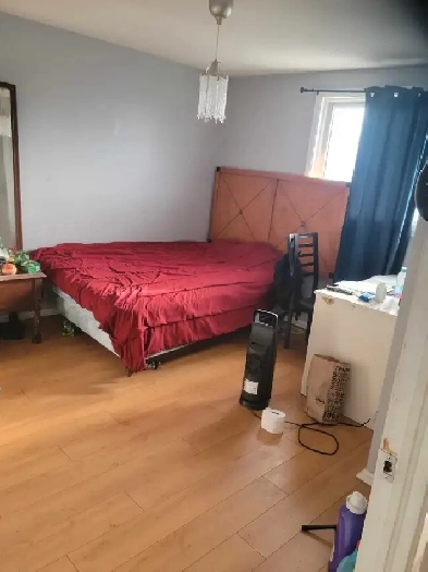 Large furnished room for rent all incl bank st and walkley rd Image# 1