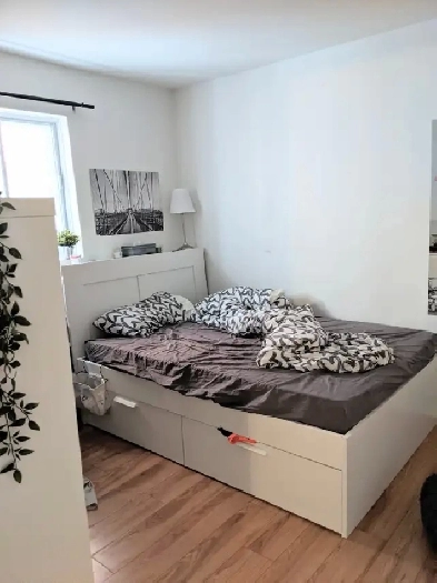 2 1/2 à louer métro Laurier Image# 1