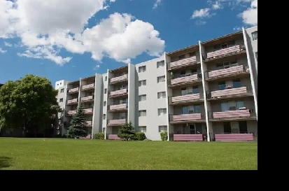 Spacious 1 Bedroom Apartment for Rent Image# 3