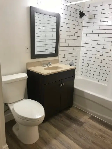 DUNDAS AND DOVERCOURT 4 bedroom apartment for rent Image# 1