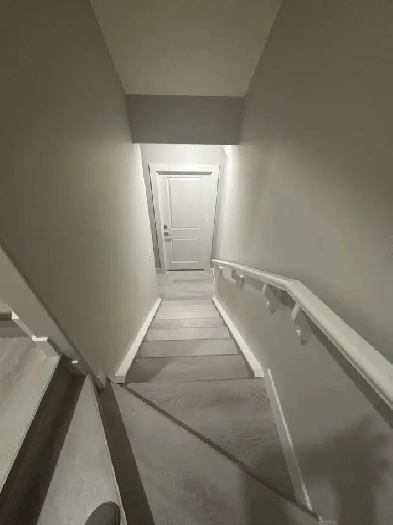 legal 2bhk basement for rent in Livingston NW, Calgary Image# 4