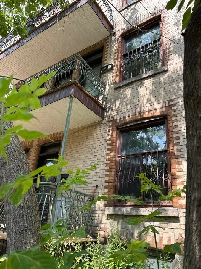 Champlain/Maisonneuve grand 51\2 libre 1560$ 514-924-7063 Image# 8
