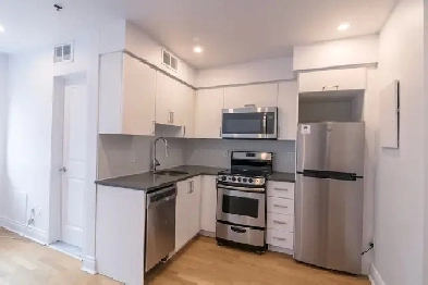 renovated studio apartment near blvd Saint-Larent - ID 1617 Image# 5