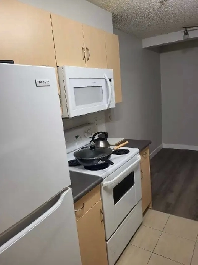 Seeking a Roommate for 2BR Apartment – Private Bathroom Image# 1