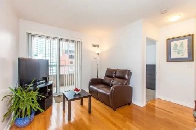 Downtown Toronto furnished condominium for rent for 10 months Image# 1
