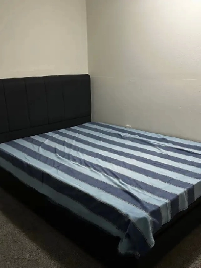 Room available for rent Image# 1