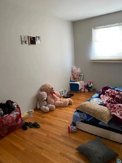 Affordable Room for Rent Image# 2