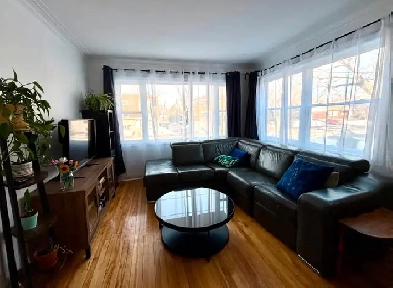 Gran 6 1/2 Rénové - Jardin Privé et Parking - Vieux Longueuil Image# 2