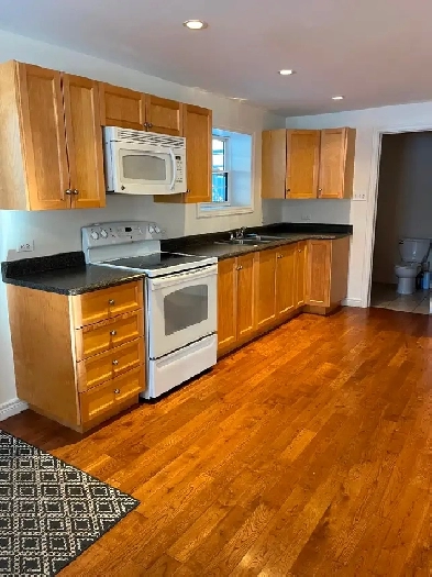 Beautiful one bedroom apt Image# 1