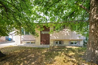 Spacious Bi-Level Bungalow with 24x24 Garage & Updates! Image# 1