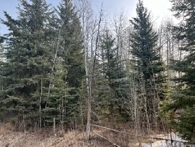 148 Acres in Clearwater County Image# 1