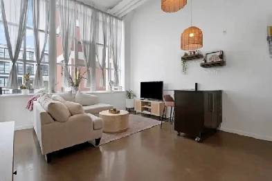 Beautiful Kaufman Loft for Rent Image# 1