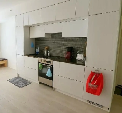Private Ensuite Room – Dundas Sq/TMU – $1450 All-In Image# 3