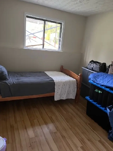 Room for Rent Image# 1
