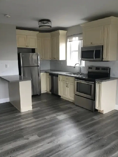 One bedroom apartment for rent Image# 9