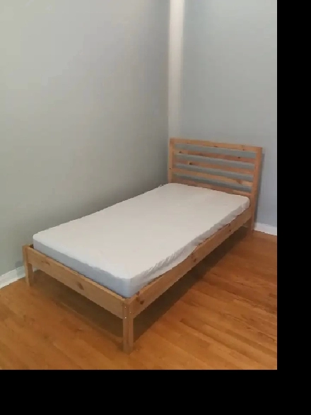Two Bedrooms at Finch & Don Mills, Seneca College, Female only Image# 4