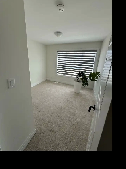 Room for Rent in 4-Bedroom House – Brock & Taunton, Pickering Image# 5