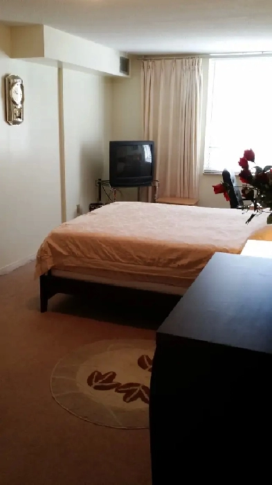 Avail Immed Clean Scarboro Rm For Rent Unit Shared With Owner! Image# 1