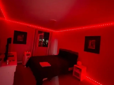 one bed in a two bedroom apartment Image# 1