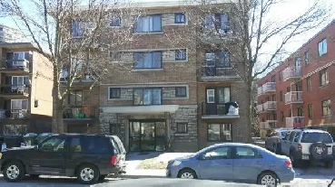 4 1/2 CDN Image# 5