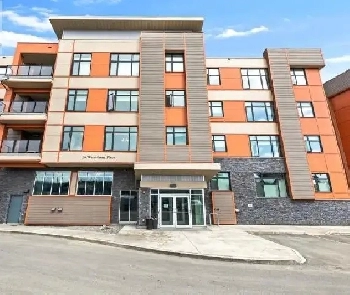 Condo For Rent Image# 5