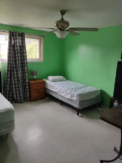 Algonquin Room for Rent to a female student Image# 3