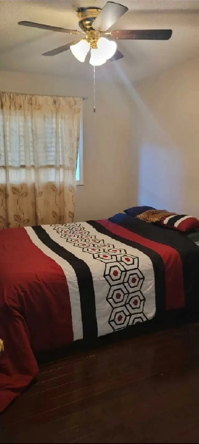 Two furnished rooms for Rent Image# 1