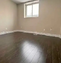 One Bedroom Basement in Malton Image# 1