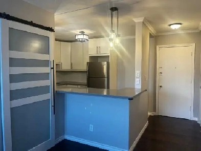 FULLY RENOVATED 2 BEDROOM APARTMENT FOR RENT | HAMILTON Image# 8