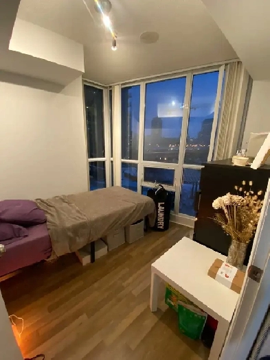 Looking for a roommate Image# 5