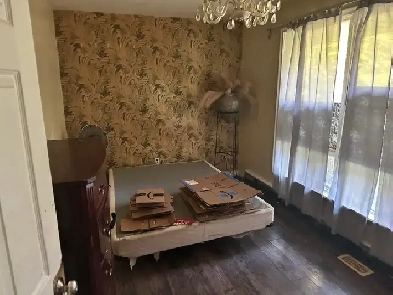 room for rent Image# 1