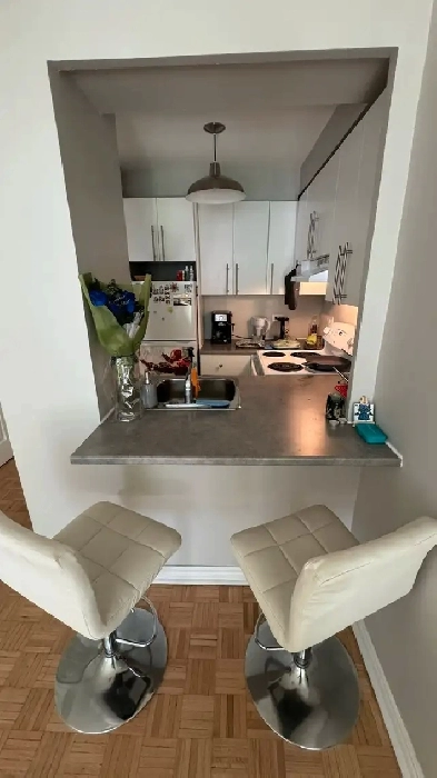 Rent 1510 c$, 1 bedroom Apartment Rue Mackay,Monreal QC Image# 7