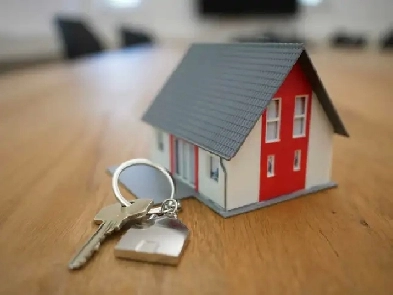 looking for house Image# 1