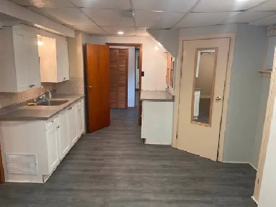 Renovated Basement in Prime Newmarket Location – Near GO Station Image# 1