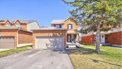 2 bedrooms basement Keswick, Georgina Image# 1