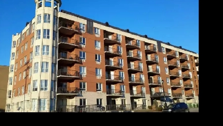 Grand 3 1/2 vue magnifique Image# 1