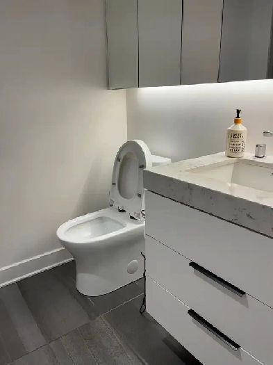 Furnished 1-bedroom for rent - 101 rue Peel, Montreal Image# 1